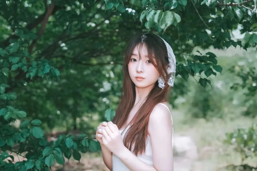 图片36 图片36